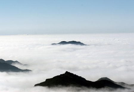 Sea of Clouds - clouds, white, puffy, sky