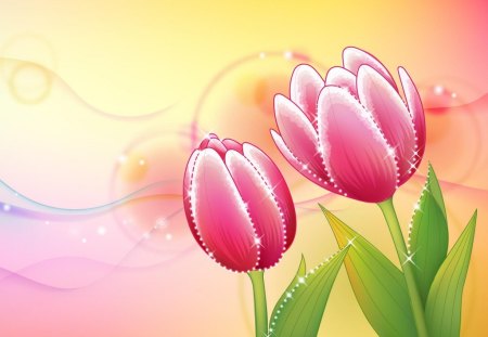 Two tulips - tulip, abstract, flower, pink