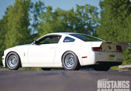 GT500 - white, gt, ford, mustang