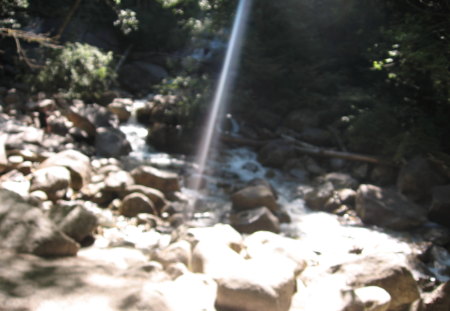 Sunbeam Stream - sunlight, sunbeam, forest, water