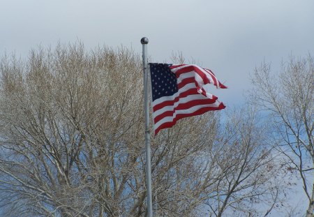 Flying the Red, White, and Blue - white, flying, american flag, windy, red, blue, proud