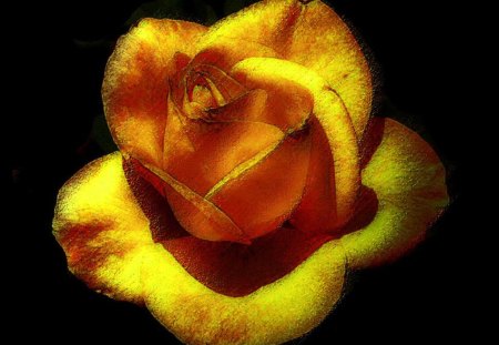 Amusement - yellow, rose, flower, 3d