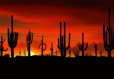 Sunset - nature, desert, sunset, beautiful