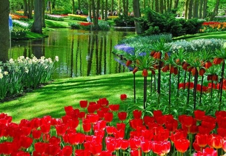 Park - nature, park, flowers, beautiful