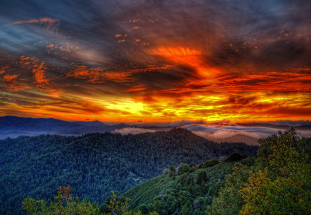 Amazing Sky - beauty, sky, trees, peaceful, colorful, sunset, mountains, amazing, view, clouds, tree, rays, landscape, sunlight, lovely, nature, woods, forest, beautiful, splendor, colors