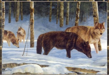 the search for prey - wolves, prey, paintings, beauty