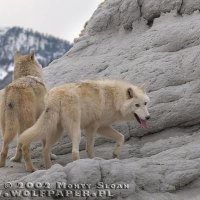 rocky and axel on the rocks