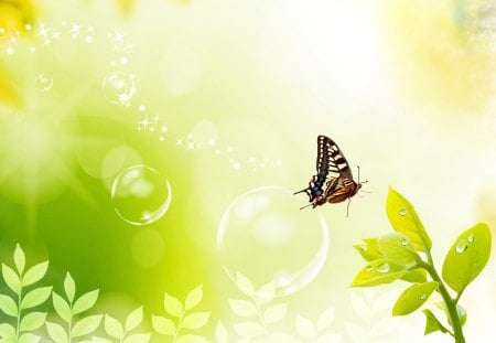 butterfly and bubbles - plants, butterfly, bubbles, shiny, green