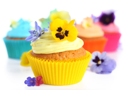 Delicious and sunny - sunny, cupcake, yellow, delicious, fashion, entertainment, sweets, pink, orange, colorful, purple, violet, turquoise