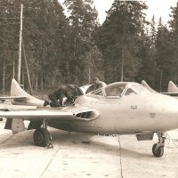 DH Vampire trainer