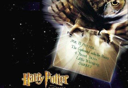 Letter To Harry Potter! - letter, people, harry potter, owl, other