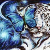 White Tiger and Butterfly