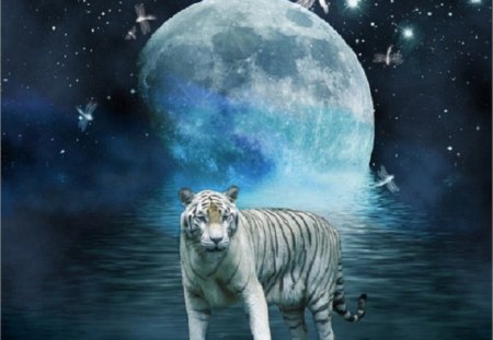 Tiger Moon - moon, abstract, fantasy, tiger, other, animals