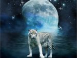 Tiger Moon