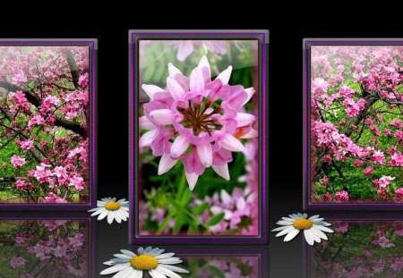 Spring's Reflection - flowers, spring, nature, other