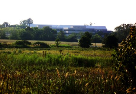 the building - the feild, the tall grass, the buiding, thetrees