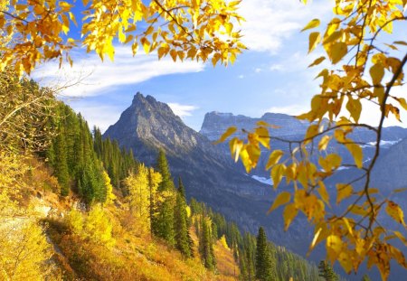 Autumn - sky, trees, mountain, autumn