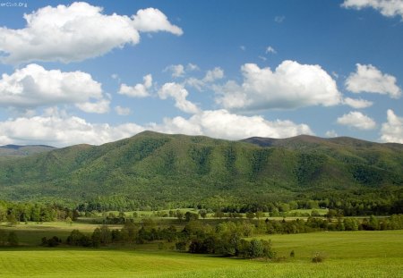 Open Land - field, sky, mountain, grass