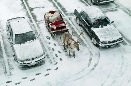 santa_claus_parking - winter, funny, deer, christmas, santa, cold, snow, holiday, humor, sled