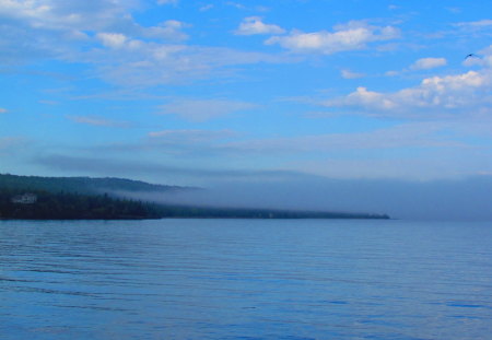 Fog on the lake - nature, sky, lake, forest, clouds, fog, water