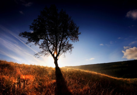 Loney Tree - clouds, lonely, hills, blue, beautiful, tree, sky