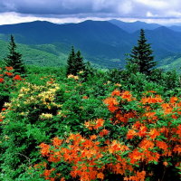 Autumn at the mountains