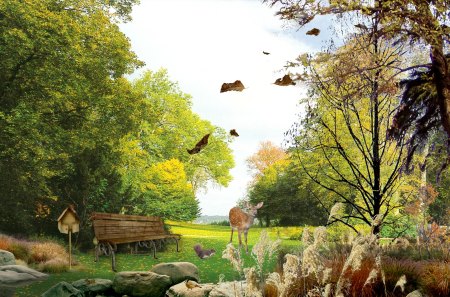 Summer Ending - autumn, sky, squirrel, trees, pompous grass, deer, bird, bushes, fall, leaves, bird feeder, firefox persona, brush