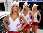 Jim Beam  Babes