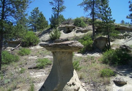 Stone Mushroom - rocky, mushroom, blue sky, trees, stone