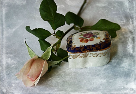 small box - small, still life, porzelain box, pink rose