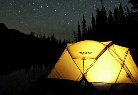 Camp at Night - night, picture, cool, camp