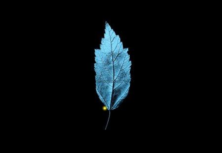 fringe_leaf - balck, abstract, beautiful, leaf, fantasy