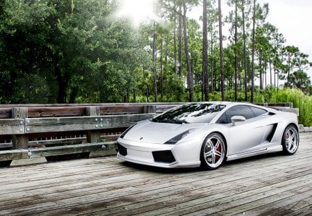 Lamborghini Gallardo - sports, car, gallardo, silver, supercar, super, lamborghini