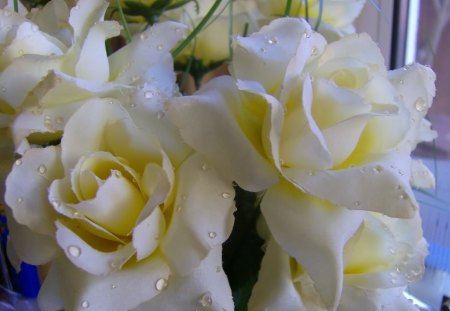 Roses - bunch, white yellow, pretty, roses