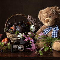 Teddy bear and flower basket