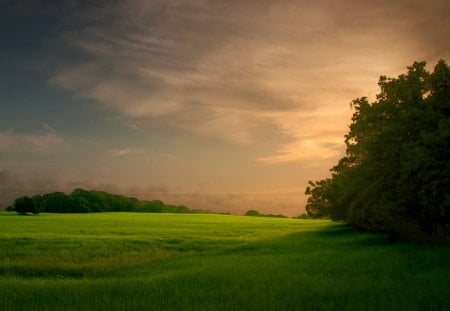 Texas Grub Hill - sky, hill, texas, green, grass