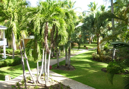 Punta Cana - beauty, trees, vacation spot, scenery, grass