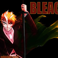 Bleach- ichi hollow/ Shinigami