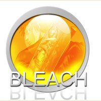 Bleach frame