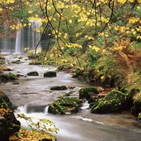 Sgwd-yr-Eira-Waterfall