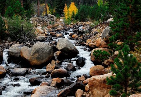 The Sound of Water - trees, scencery, beautiful, sound, beauty, forest, leaves, stones, river, nature, season, autumn, view, green