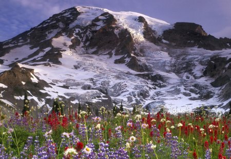 Mount Beauty - season, sky, mount, peak, spring, nature, view, tall, beautiful, snow, flowers