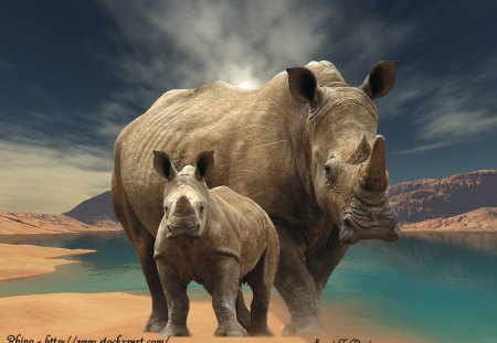 Watering Hole - rhino, mother, water, baby