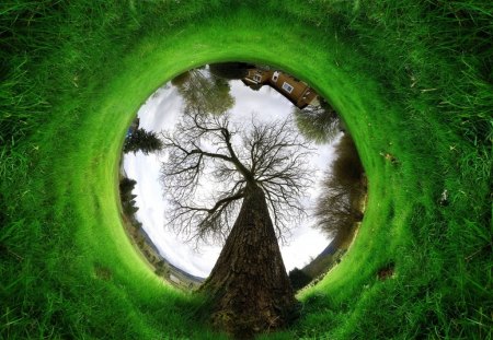 Round Land - sky, trees, houses, grass