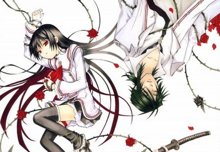 Pandora Hearts New - squad, pandora hearts, wall, new, tv show, anime