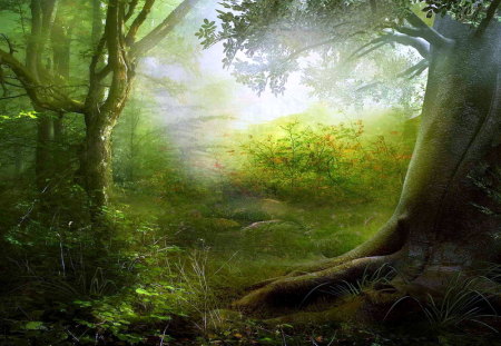 Within the green - flowers, trees, branches, green, mist, forest, light