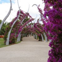 South Bank Walkway