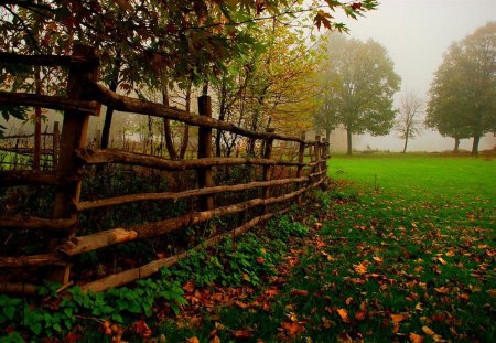 autumn colors - seasons