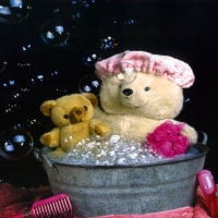 Teddy bath