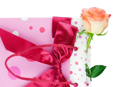 Bag with rose - present, bag, bow, rose